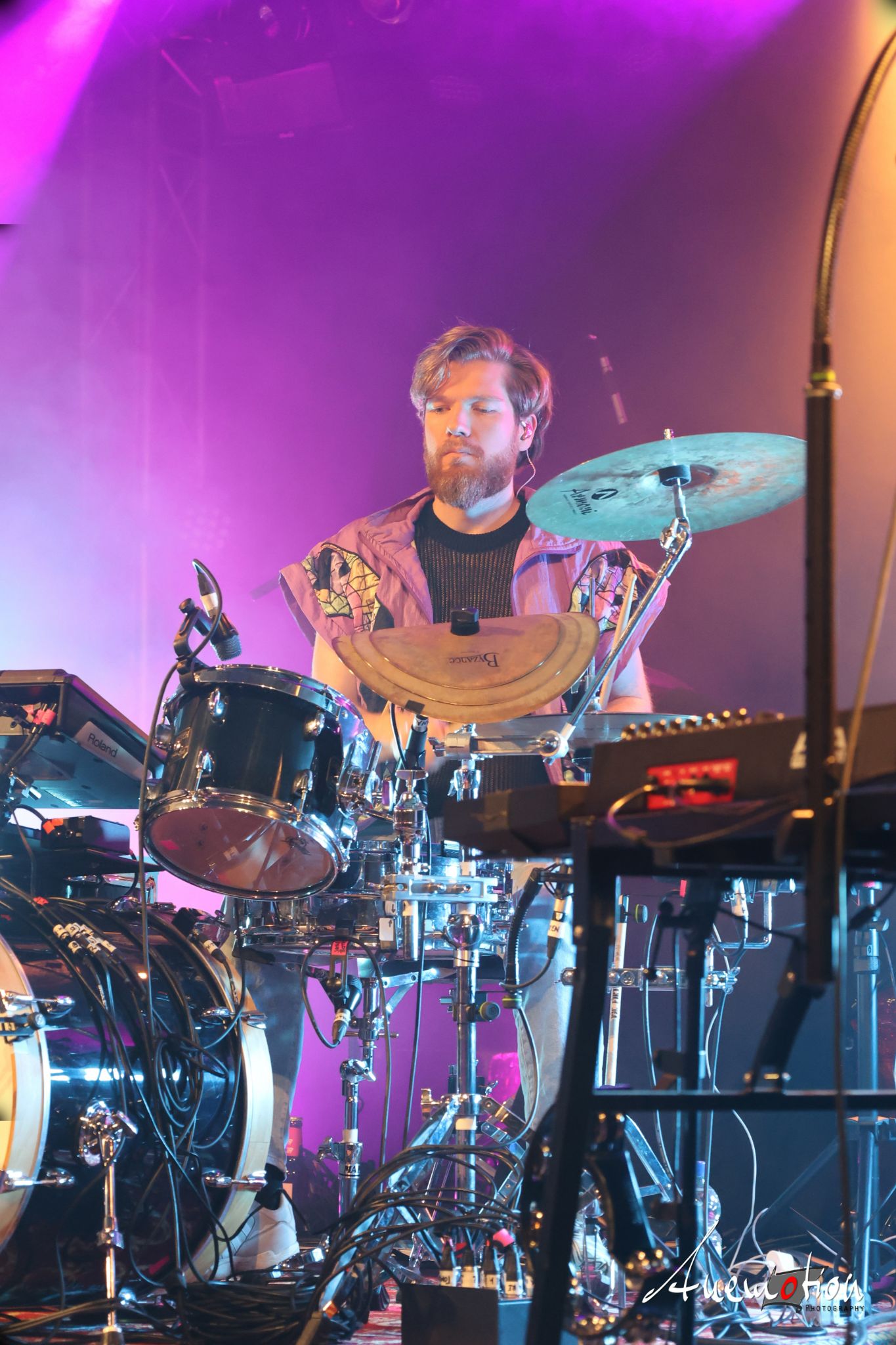 ElephantsFalling (84)